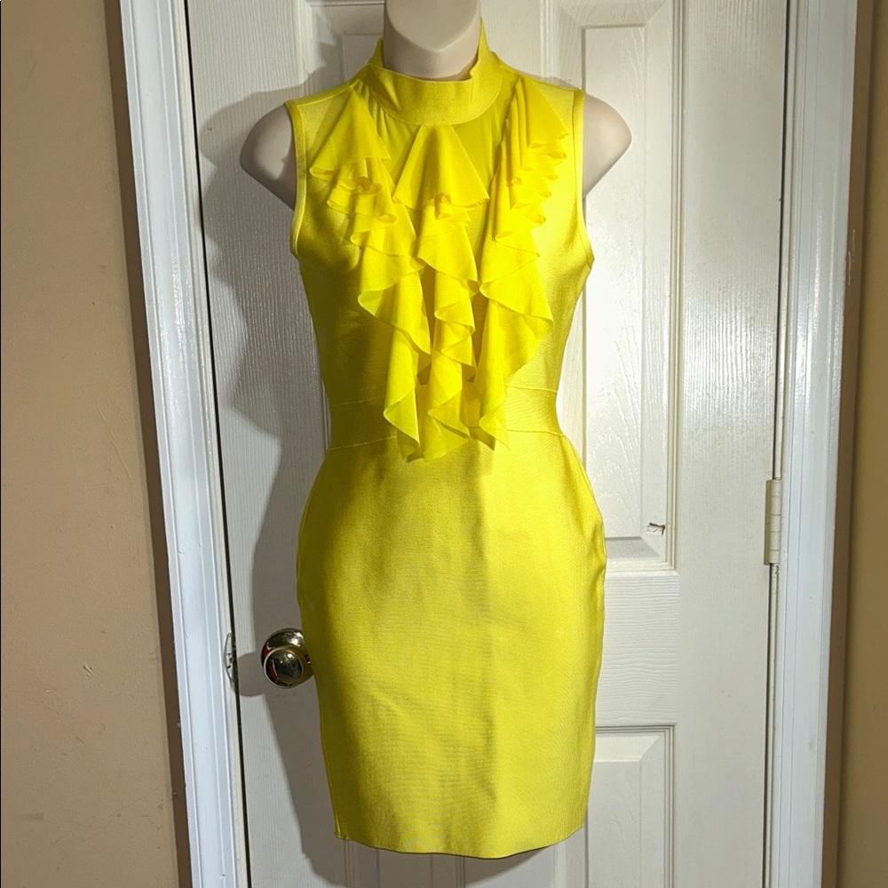 Elegant Knit Bodycon Shift Ruffled Neckline Sheer Back Chiffon Dress